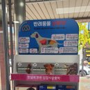선한약국 이미지
