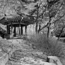 수옥정(漱玉停) 네이버블로그