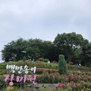 원미삼천리 이미지