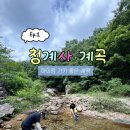 루리아 - 동대문구 | 아이랑 계곡 상주 청계사 계곡 위치 좌표 있음 7월 초 방문