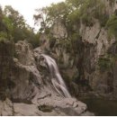 동유중기 이미지