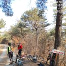 이동백 소리길 이미지