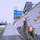 장승포마을회관 네이버블로그