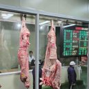 홍성한우 이미지