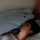 화이트 독 이미지