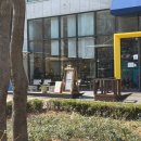 신백현중학교 | 판교 백현동 카페거리 스테이블 판교 | 작은 반려 식물들이 예쁜 바스크 치즈케이크 맛집