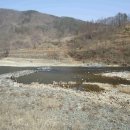 금강농장 이미지