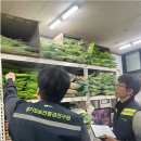 유통 기호일보