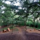 운암지수변공원 이미지