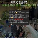 이혜란에스테틱