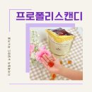 디어라푼젤 이미지