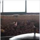 성일농원 이미지