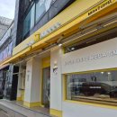 망고&체리 애견샵 이미지