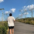 기안84 카카오 검색결과