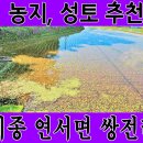 지성부동산중개 이미지