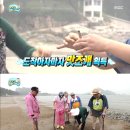 조개본능 이미지