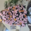 달달쭈봉 | [일상] 외근 후 들린 명장시대 오산점, 회사 동료들과 빵 타임 🍞