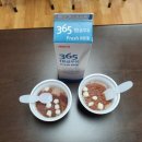디자인집주