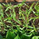 무림농장 이미지