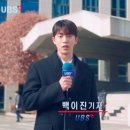 샐러드40 이미지