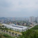 섬강초등학교 병설유치원 네이버블로그