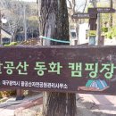 비슬산 숲속 오토캠핑장 이미지