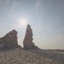 정성을담은음식 이미지