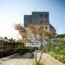 씨포레스트하우스 이미지