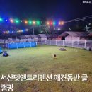 서산애견글램핑 서산펫앤트리펜션 이용 후기｜반려견과 편하게 쉬기 좋은 곳