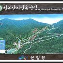 국립청옥산자연휴양림 이미지