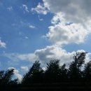 파도 한 송이 이미지