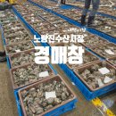 노량진수산시장 경매장 새벽 후기 서울가볼만한곳