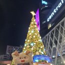 오늘 ! 비타민 P 🌻 이미지