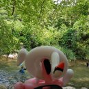 조계산장 이미지