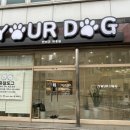 유얼도그 이미지