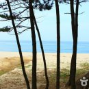 (주)용화관광 이미지