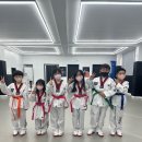 용인대 리더 태권도 이미지