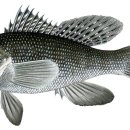 여름 보양식 (7월) 이미지