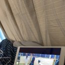 킹덤장어 이미지