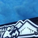 아날로그데이 이미지