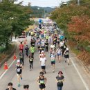 청송군민테니스장 이미지