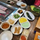 힘찬장어 | 천안 백석동 불당동 풍천장어맛집 '힘찬풍천장어'