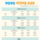 뽀송뽀송애견놀이방 이미지