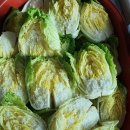 메디휴엔 | 챌린지76일째/5차김장준비/메디휴제일내과이용후기/