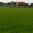 전원매운탕 이미지