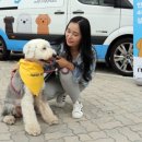 가족이랑개 이미지