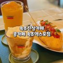 속초 카페 콩카페 속초엑스포점 코코넛스무디커피 후기