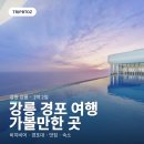 커피베이울진점 | 강릉 경포 여행 🌊비치비어 페스티벌부터 스카이베이까지