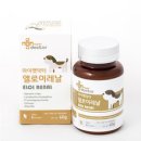 마이펫24