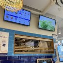 수채캘리 & 시 한줄 | 부평 혼밥 다이어트도 맛있고 건강하게! &#39;슬로우캘리 부평점&#39;에서 먹은 포케 혼밥후기🤍